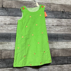 HANDMADE THANKSGIVING JUMPER DRESS 5/6