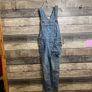 GAP DENIM OVERALLS 5