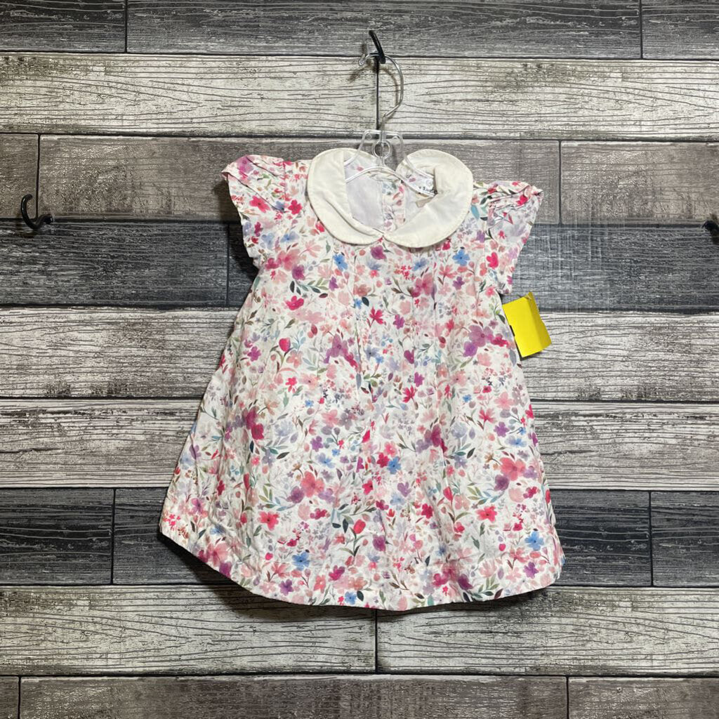 HATLEY COLLARED SS LINED DRESS 6-12 MO