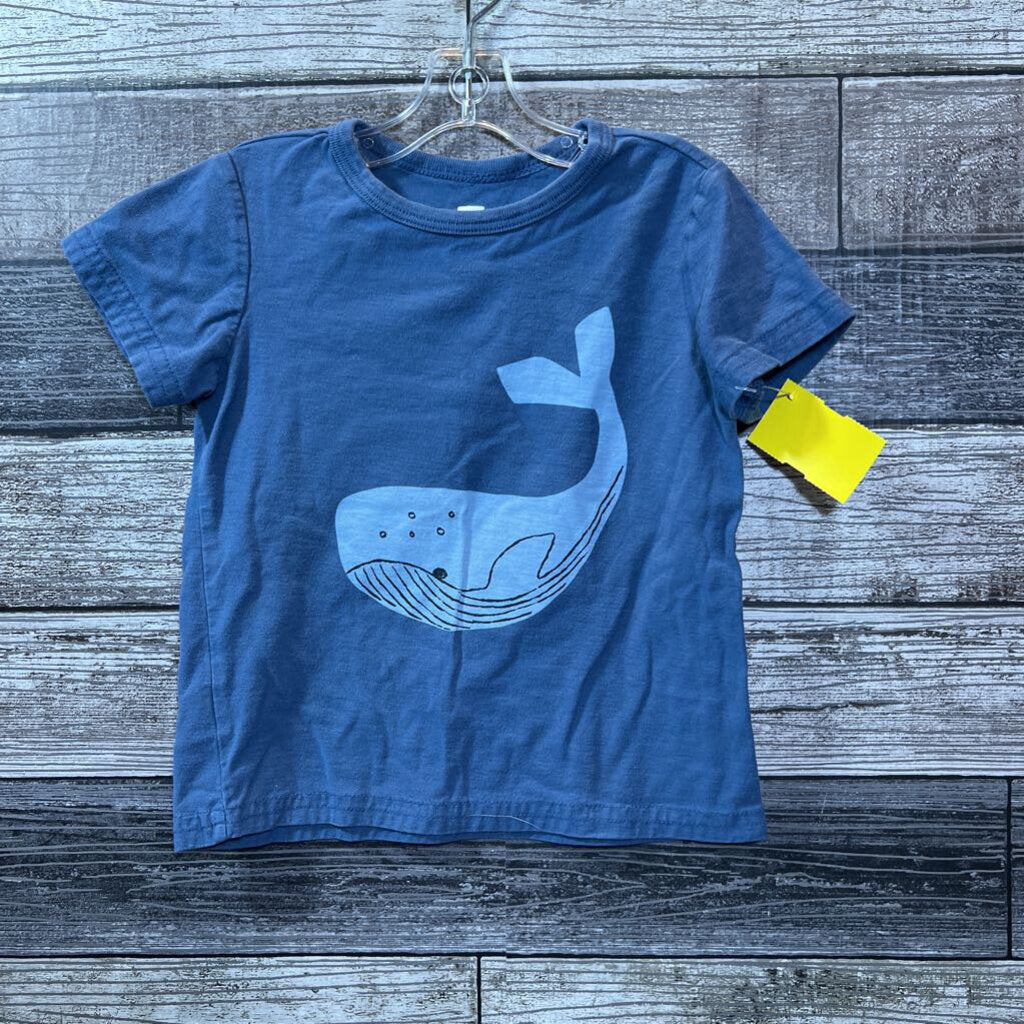 TEA SS GRAPHIC T-SHIRT 18-24 MO