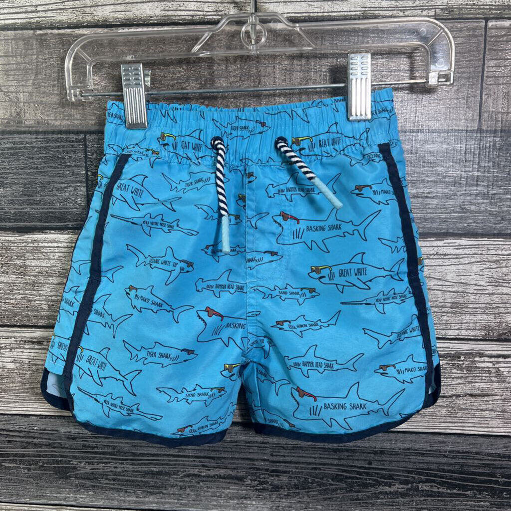 ANDY & EVAN SWIM TRUNKS 3