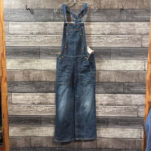 AG THE SAND DENIM OVERALLS 4