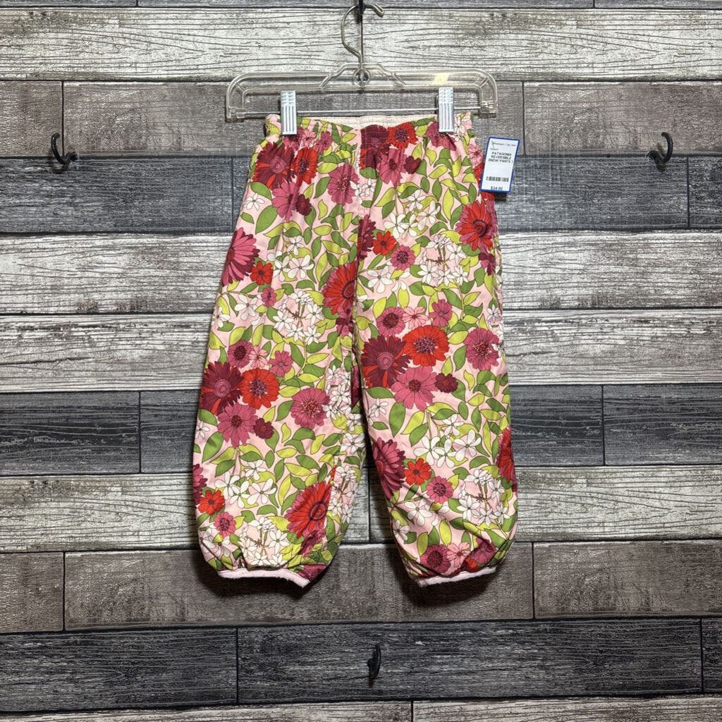 PATAGONIA REVERSIBLE SNOW PANTS 3