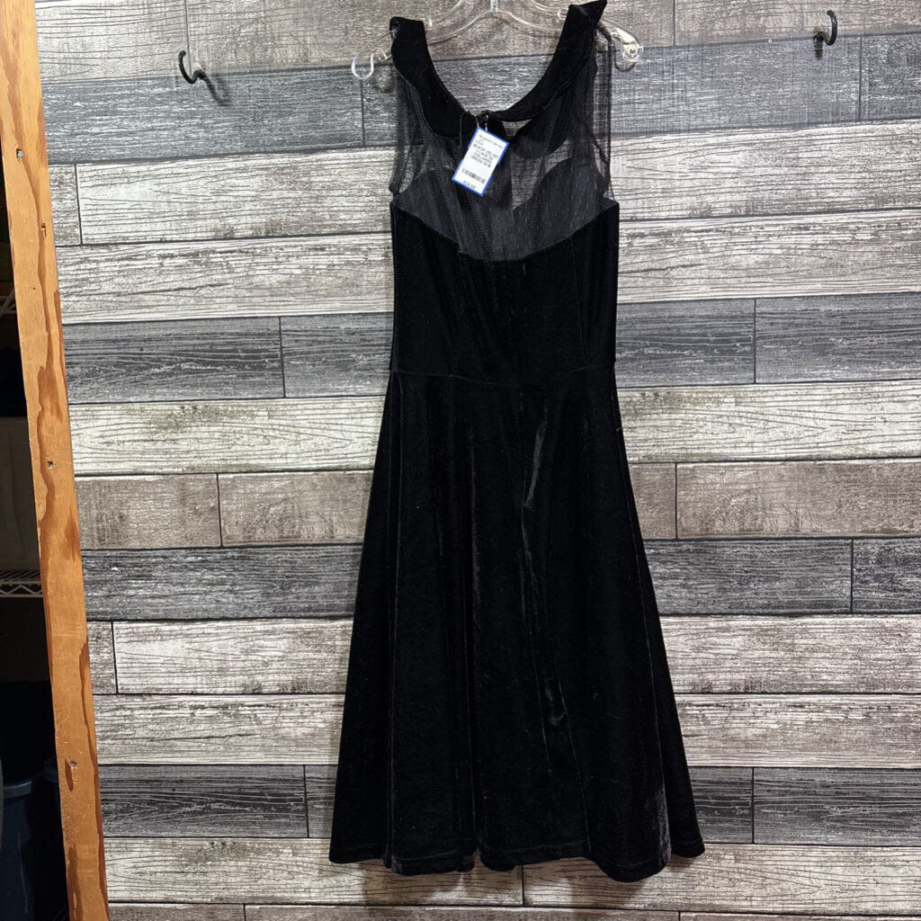 BLACK VELVET + LACE SS COLLARED DRESS 14/16