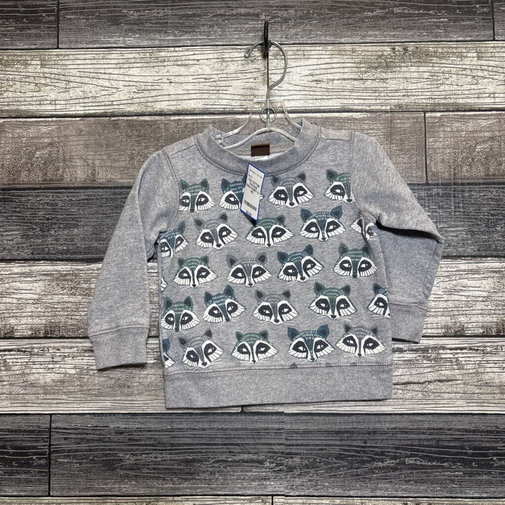 TEA COTTON RACOON SWEATSHIRT 6-9 MO