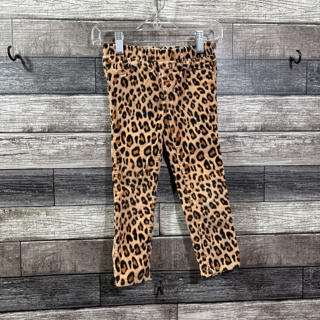 GAP PULL ON ANIMAL PRINT CORDUROY PANTS 4