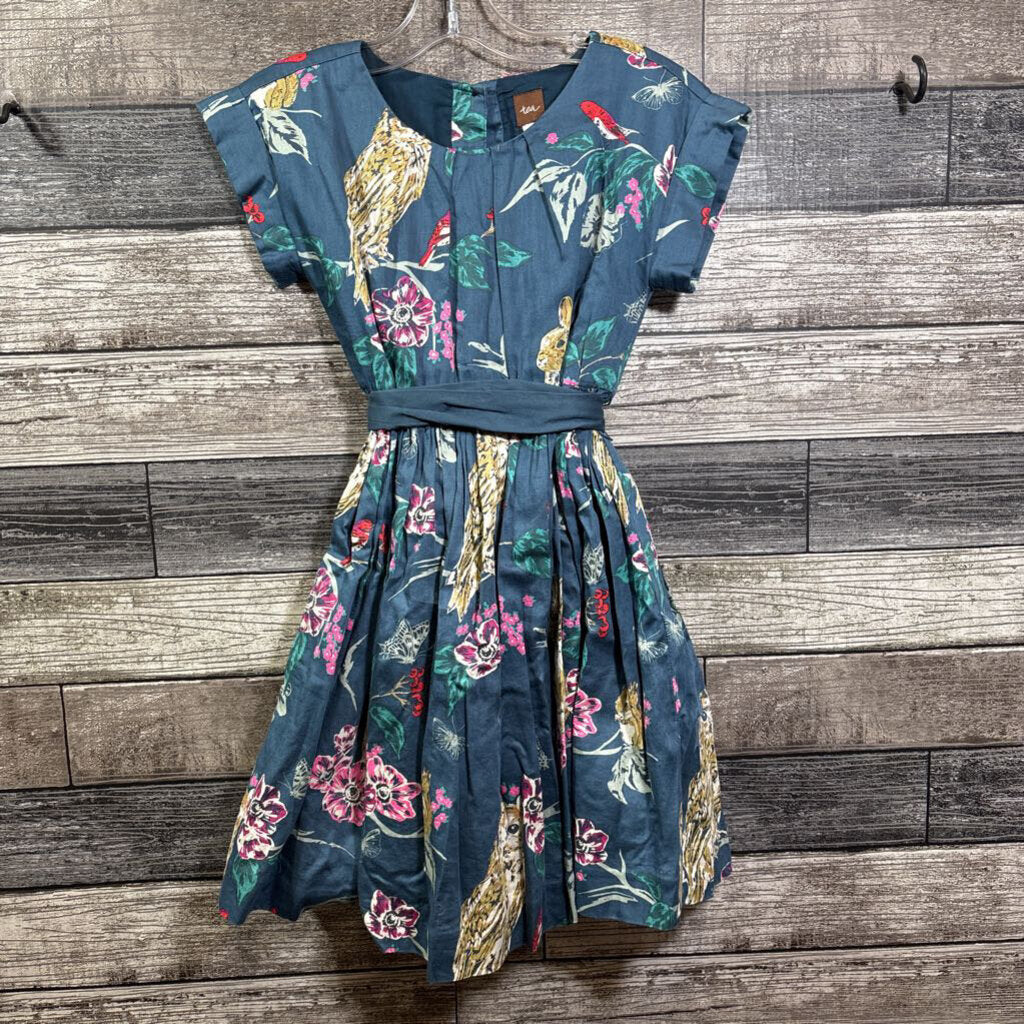 TEA SS LINED WOVEN COTTON DRESS 6