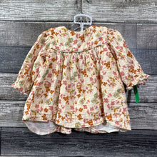 Load image into Gallery viewer, ZARA 2PC LS DRESS + BLOOMERS 3-6 MO
