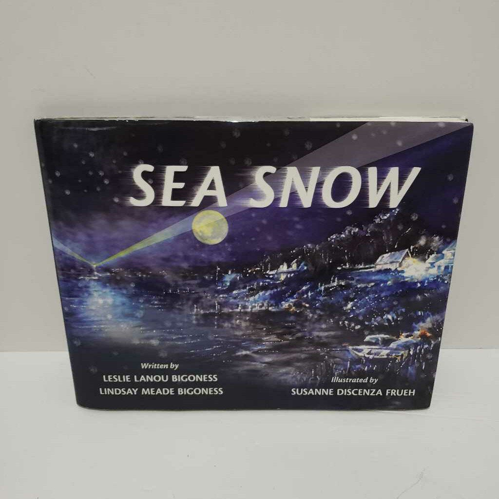 SEA SNOW