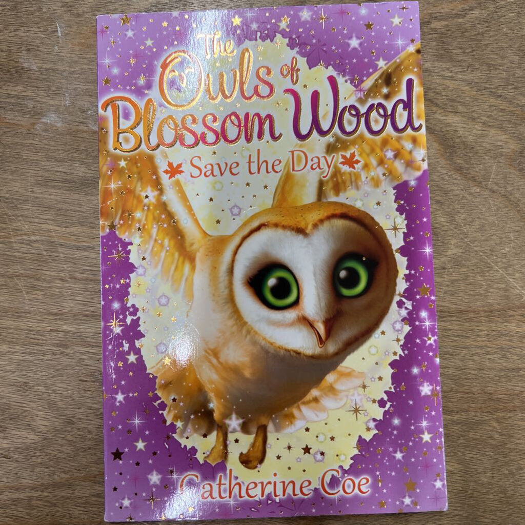 THE OWLS OF BLOSSOM WOOD SAVE THE DAY